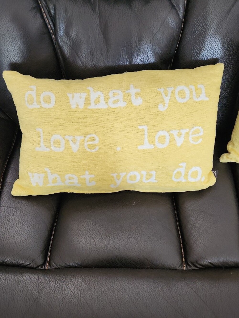 Set Of 2 Decorative Yellow 'Do What You Love' Accent Pillows